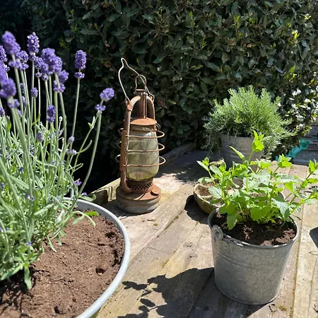 Le Boutik Отель 3*